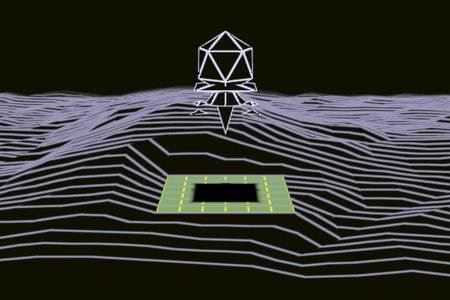 Lander 3D