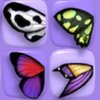 Butterfly Shimai Game