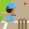 Cricket FRVR Game