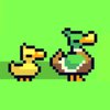 Duck Waddle Game