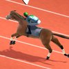 Horse Derby Racing Game