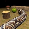 Nova Snake 3D Game