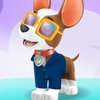 PAW Patrol: Picture PAWfect Dress-Up Game