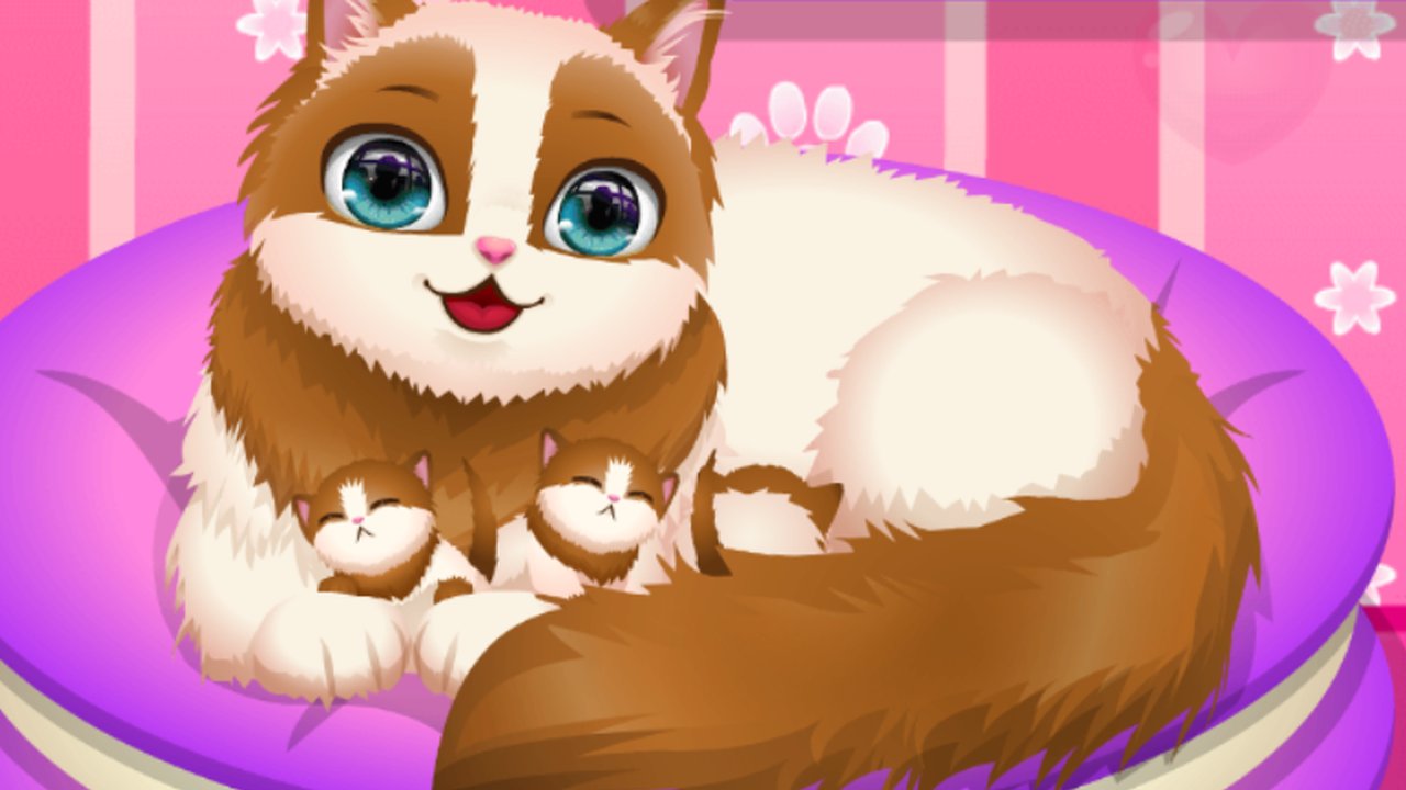 CAT GAMES 🐱 - Play Online Games!